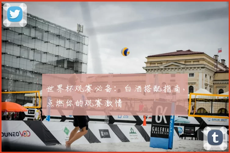 世界杯观赛必备：白酒搭配指南，点燃你的观赛激情