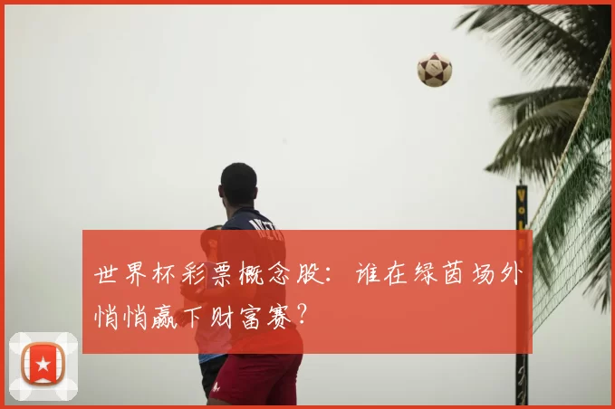世界杯彩票概念股：谁在绿茵场外悄悄赢下财富赛？