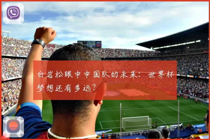 白岩松眼中中国队的未来：世界杯梦想还有多远？