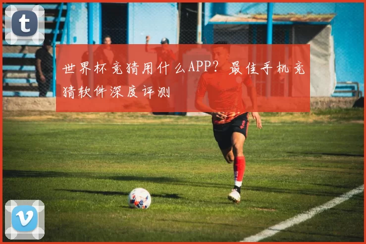 世界杯竞猜用什么APP?最佳手机竞猜软件深度评测