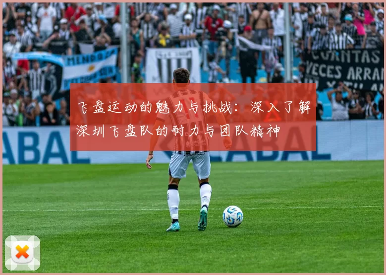 飞盘运动的魅力与挑战:深入了解深圳飞盘队的耐力与团队精神