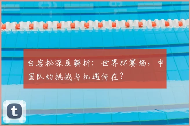 白岩松深度解析:世界杯赛场,中国队的挑战与机遇何在?