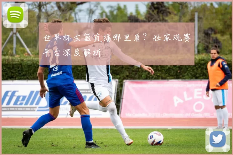 世界杯女篮直播哪里看？独家观赛平台深度解析