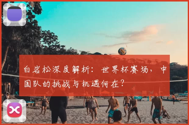白岩松深度解析：世界杯赛场，中国队的挑战与机遇何在？
