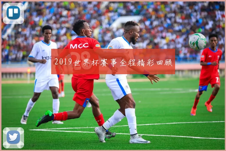 2019世界杯赛事全程精彩回顾