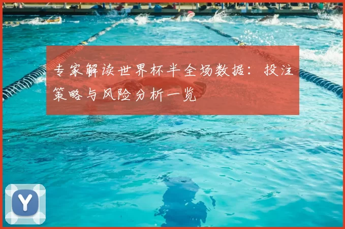 专家解读世界杯半全场数据：投注策略与风险分析一览