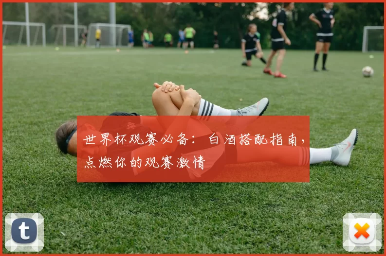 世界杯观赛必备：白酒搭配指南，点燃你的观赛激情
