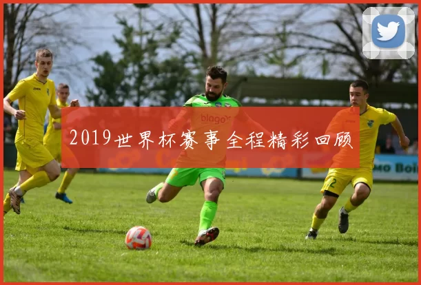 2019世界杯赛事全程精彩回顾