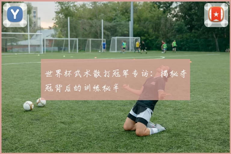 世界杯武术散打冠军专访：揭秘夺冠背后的训练秘辛