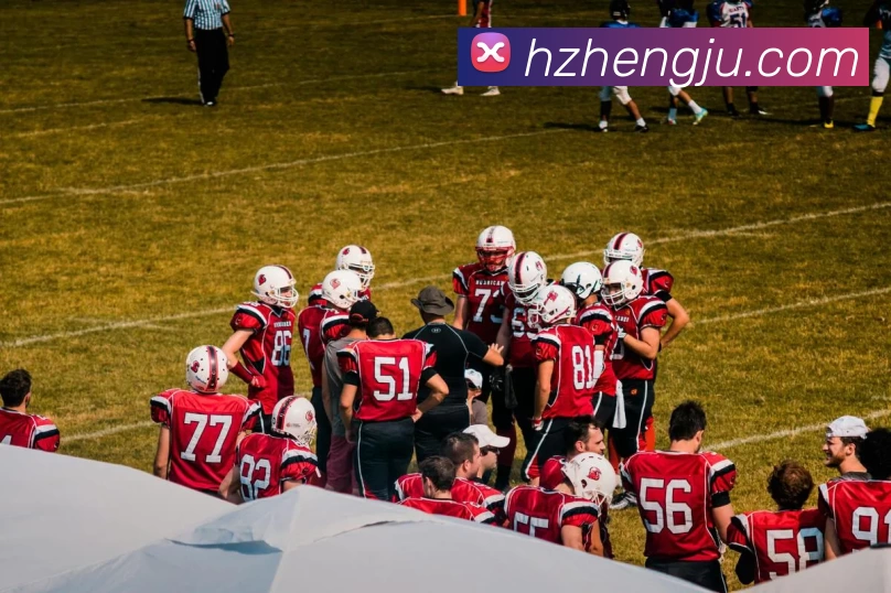 App Interface Preview